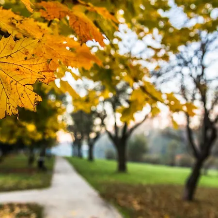 Apartment Balandy 26